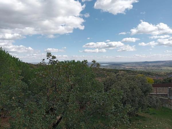 Terreno en calle Río Guadiana, 5 -1