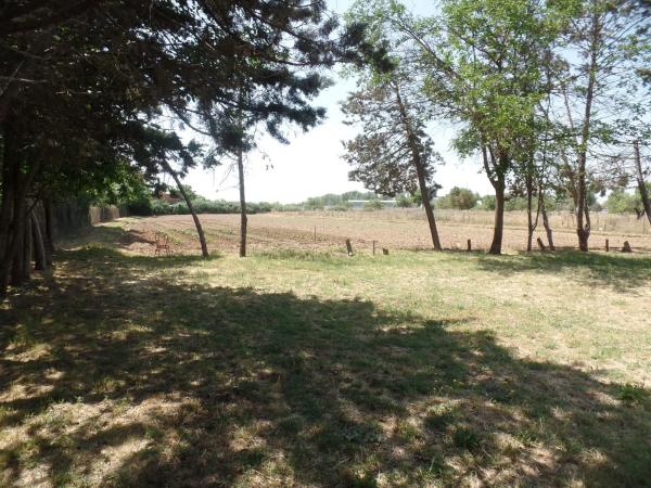 Terreno en carretera Algete, 6