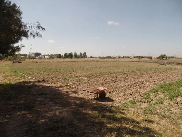 Terreno en carretera Algete, 6