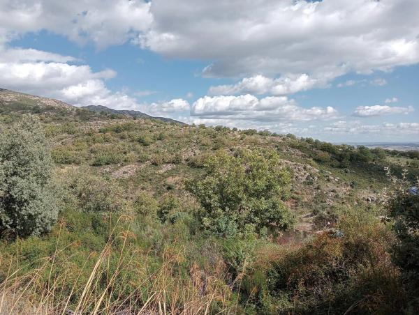Terreno en calle Río Guadiana, 5 -1