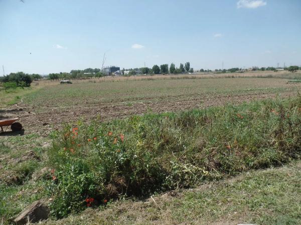 Terreno en carretera Algete, 6