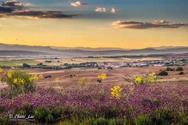 Terreno en calle Marquesado de Valdeolmos
