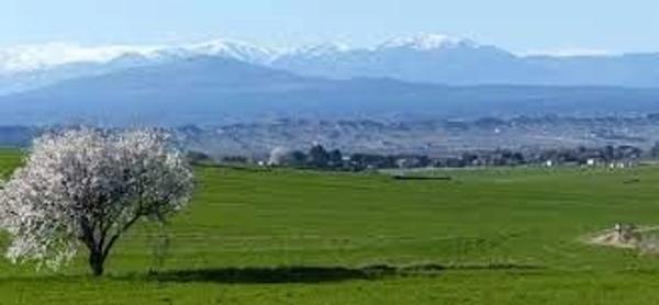 Terreno en calle Marquesado de Valdeolmos
