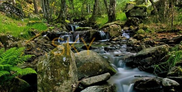 Terreno en prado varela