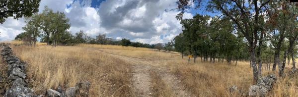 Terreno en camino de Oyañez s/n