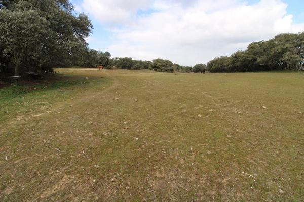 Terreno en El Vellón