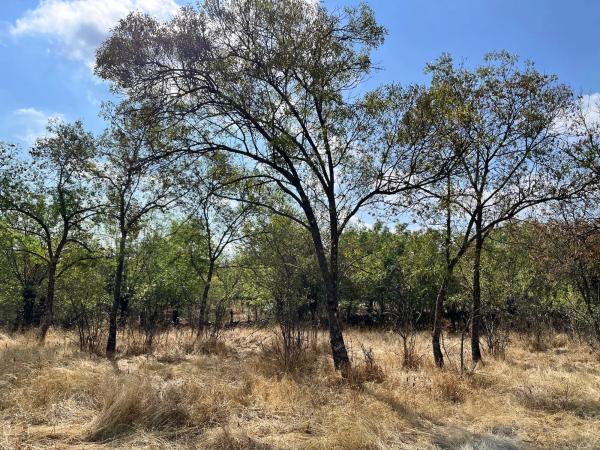 Terreno en camino de San Blas s/n