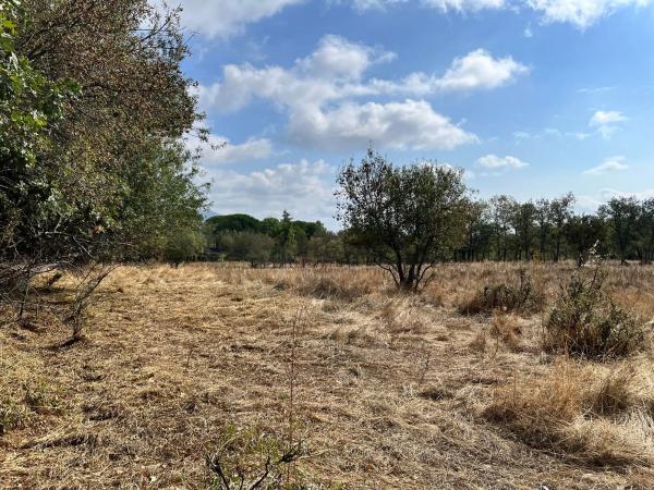 Terreno en camino de San Blas s/n