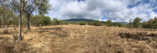 Terreno en camino de San Blas s/n