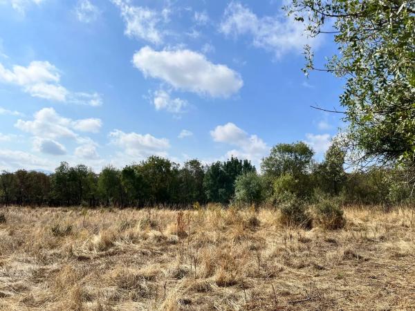 Terreno en camino de San Blas s/n