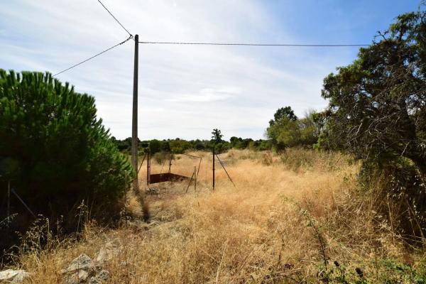 Terreno en carretera de La Cabrera, 27