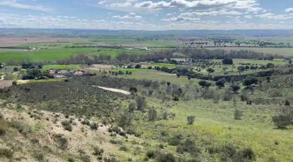 Terreno en El Molar s/n