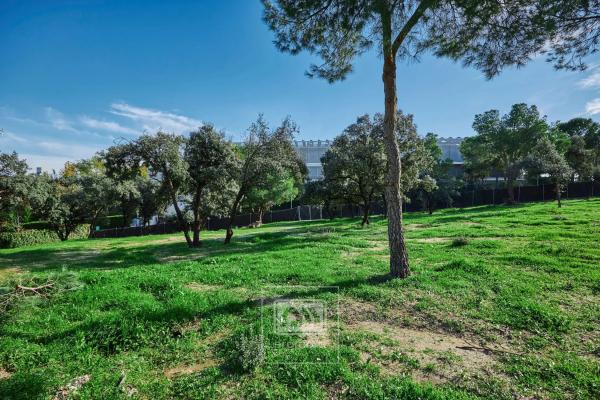 Terreno en calle de la Veredilla