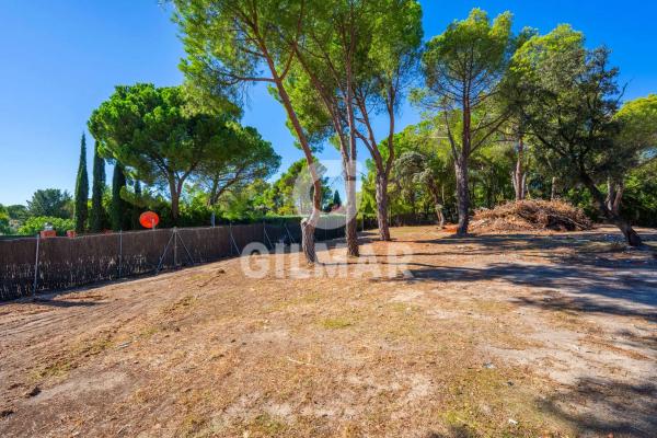 Terreno en calle de la Veredilla