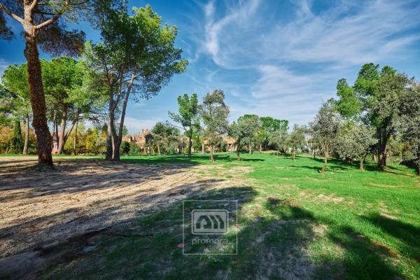 Terreno en calle de la Veredilla