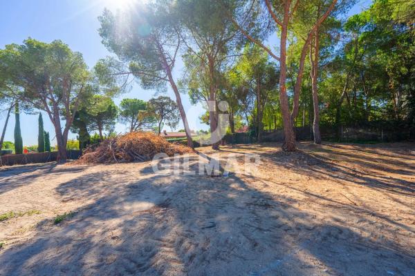 Terreno en calle de la Veredilla