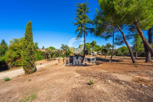 Terreno en calle de la Veredilla