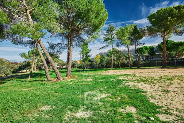 Terreno en calle de la Veredilla