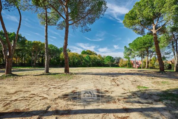 Terreno en calle de la Veredilla