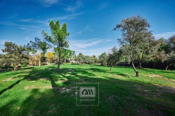 Terreno en calle de la Veredilla