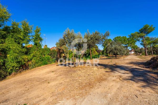 Terreno en calle de la Veredilla