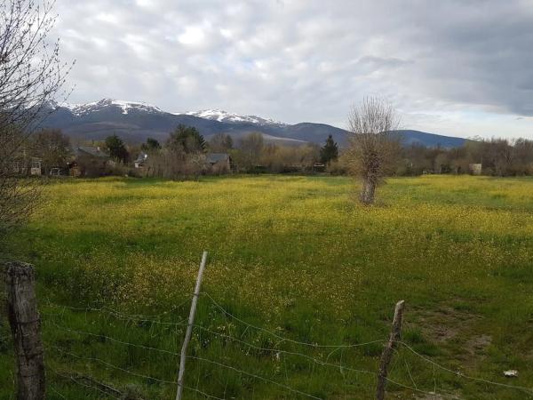 Terreno en Urbanización de los Grifos s/n