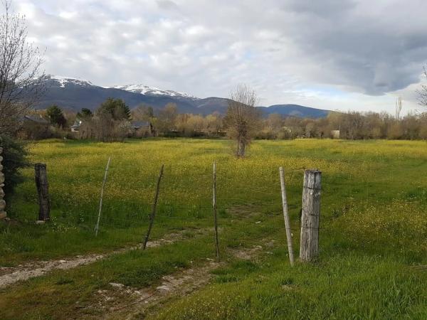 Terreno en Urbanización de los Grifos s/n