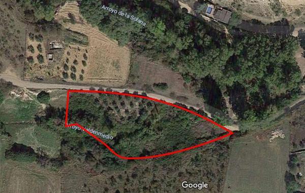 Terreno en El Vellón