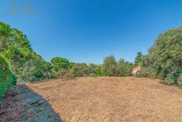 Terreno en calle Siete Picos