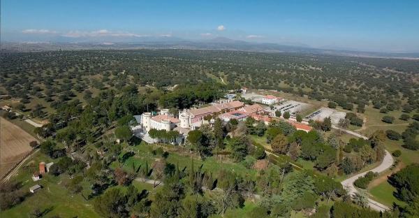 Terreno en calle Siete Picos