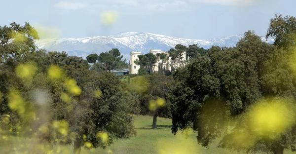 Terreno en calle Siete Picos