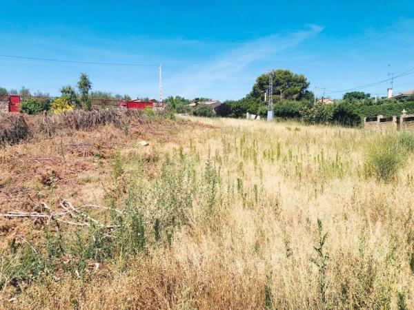 Terreno en carretera de Ajalvir