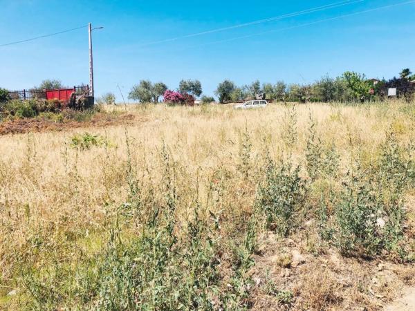 Terreno en carretera de Ajalvir
