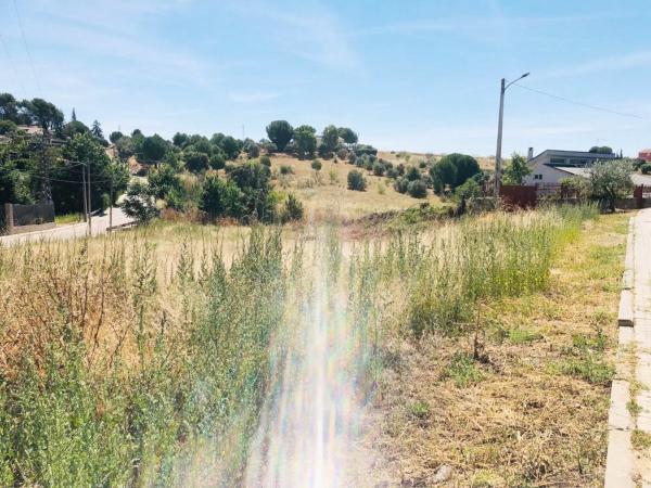 Terreno en carretera de Ajalvir