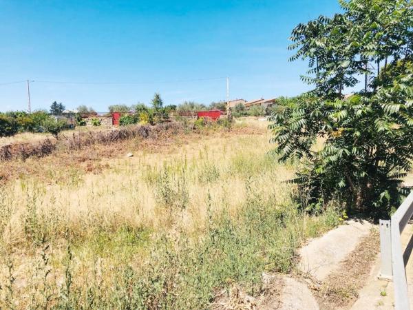 Terreno en carretera de Ajalvir