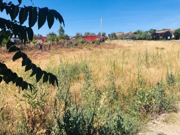 Terreno en carretera de Ajalvir