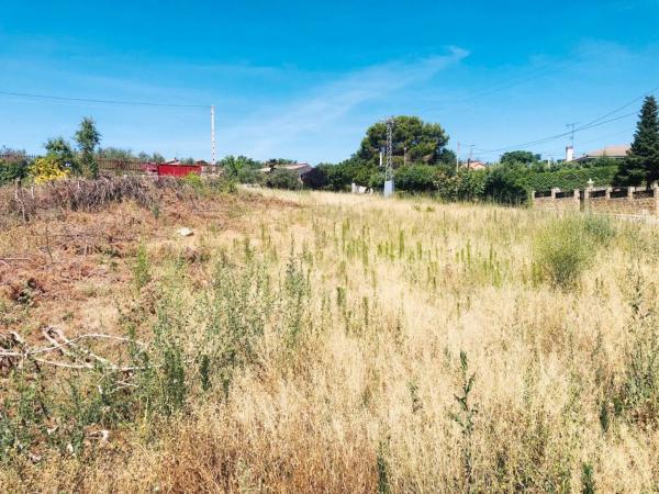 Terreno en carretera de Ajalvir