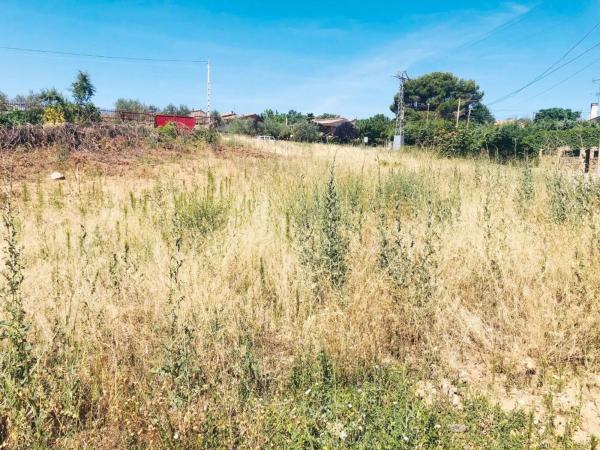 Terreno en carretera de Ajalvir