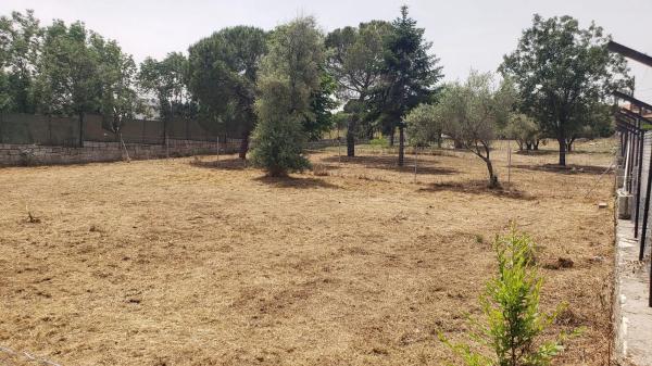 Terreno en calle la Cerradilla, 1