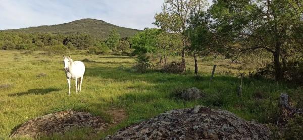 Terreno en Cañada de Aoslos, km 1
