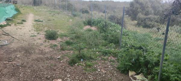 Terreno en camino de Las Viñas s/n