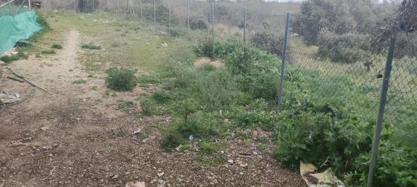 Terreno en camino de Las Viñas s/n