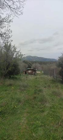 Terreno en camino de Las Viñas s/n