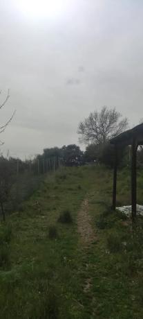 Terreno en camino de Las Viñas s/n