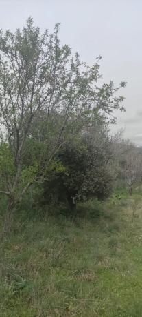 Terreno en camino de Las Viñas s/n