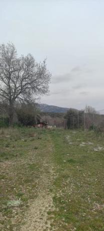 Terreno en camino de Las Viñas s/n