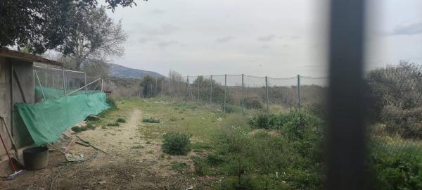 Terreno en camino de Las Viñas s/n