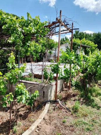 Terreno en Valdepiélagos