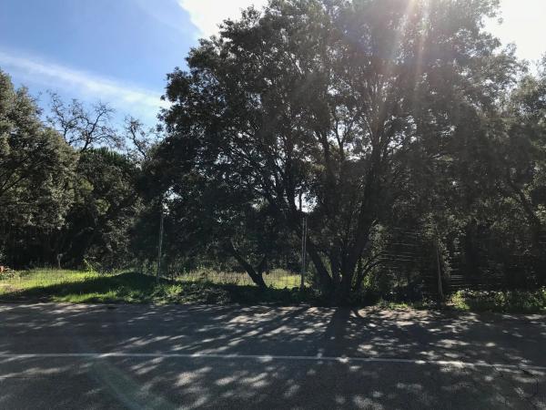 Terreno en Ciudalcampo