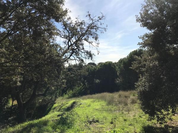 Terreno en Ciudalcampo